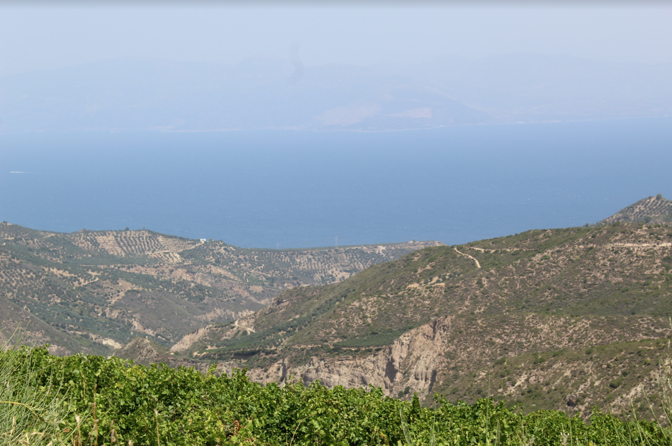 Tetramythos Winery - Aigio, Greece