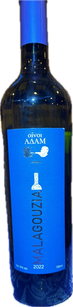 Wines of adam Malagousia 2021