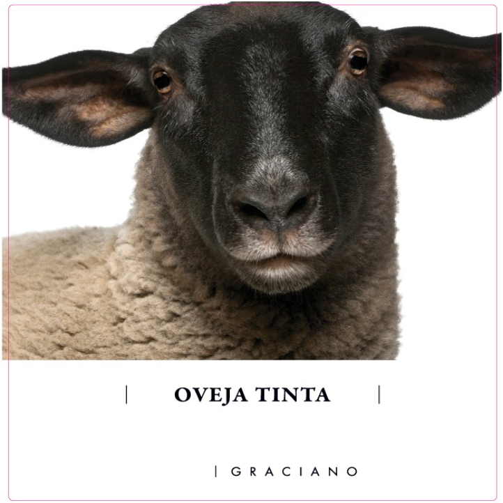 Bodegas fontana Oveja tinta graciano 2022