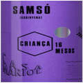 Casa mariol Samso crianza 2021