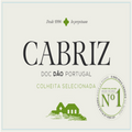 Qta cabriz Colheita selecionada white 2025