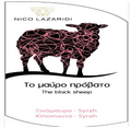 N lazaridi Black sheep rose 2023