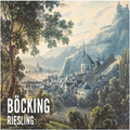 Richard bocking Riesling mosel 2022