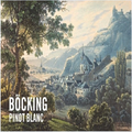 Richard bocking Pinot blanc mosel 2022